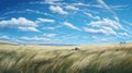 Midwest Grassland: A Majestic Hyperrealistic Painting Of Windblown Prairie