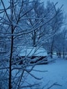 Midwest Snowy Morning vertical