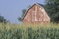 Midwestern farm with barn and corn field in South Bend, IN Royalty Free Stock Photo