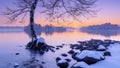 Midwinter, island off the coast of a lake, trees and rocks. Cold sunrise on the lake island.