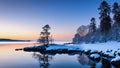 Midwinter, island off the coast of a lake, trees and rocks. Cold sunrise on the lake island.