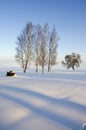 Midwinter landscape with shadows and tree