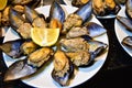 Midye dolma, stuffed mussels Turkish food with a beautiful presentation Royalty Free Stock Photo