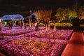 Nabana no Sato park in Japan on winter Royalty Free Stock Photo