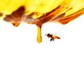 Miel en verre avec l`abeille.