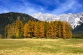 Mieminger Plateau, Mountains in autumn, Austria. Royalty Free Stock Photo