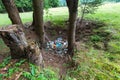 Beer cans , soft drink plastic bottles in a natural hole between pine trees , conceptual image of human negligence.