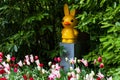 Yellow Miffy statue in the Keukenhof in 2022 in the Netherlands