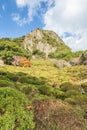 Mifuneyama Rakuen garden in Saga, northern Kyushu, Japan