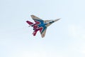 MiG-29 jet from Strizhi display team