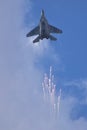 MiG-29 Fighter Royalty Free Stock Photo