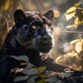 The Mighty Black Jaguar