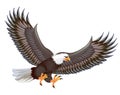 mighty predator eagle in flight on