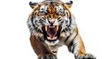 Mighty tiger photo realistic illustration - Generative AI.