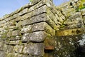 Mighty vineyard wall and stairs with focus on the foreground Royalty Free Stock Photo