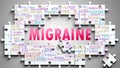 Migraine as a complex subject, related to important topics spreading around as a word cloud