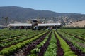 Migrant Farm Workers