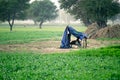 Migrant rural village children of landless homeless labourers sitting under a temporary shelter made of wood and plastic