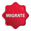 Migrate misty rose red starburst sticker button