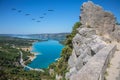 The migrating cranes over lake Royalty Free Stock Photo