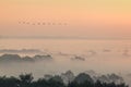 Migrating geese flying over a misty landscape in Evesham worcestershire Royalty Free Stock Photo