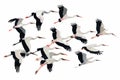 Migration of Storks Royalty Free Stock Photo