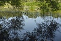 Migratory bird habitat on the edge of lake Erie Royalty Free Stock Photo