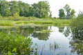 Migratory bird refuge on lake Erie Royalty Free Stock Photo