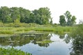 Migratory bird refuge on lake Erie Royalty Free Stock Photo