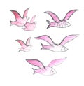 Migratory birds and flying fish. A flock of wild fish and birds. Isolated on white background. Drawing with colored pencils Royalty Free Stock Photo