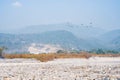 Migratory birds flying over the river in the early morning. Royalty Free Stock Photo