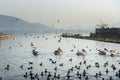 Migratory Pelican Birds and Black Ducks on Lake Anasagar in Ajmer. India Royalty Free Stock Photo