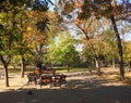 Mihai Eminescu Park - Arad, Romania