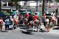 Donkey rides, Mijas, Spain. Royalty Free Stock Photo
