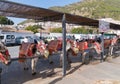 Mijas Spain donkey taxis in the historic Spanish white village Royalty Free Stock Photo