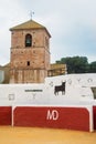 MIJAS, SPAIN - FEBRUARY 08, 2015: Old traditional decorated bull Royalty Free Stock Photo