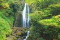 Mikaerino-taki Look back waterfalls, Japan Royalty Free Stock Photo