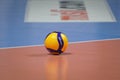 Mikasa V200W ball