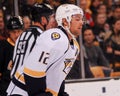 Mike Fisher, Nashville Predators Royalty Free Stock Photo