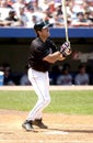 Mike Piazza Royalty Free Stock Photo