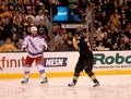 Mike Rupp and Shawn Thornton Square off (NHL)