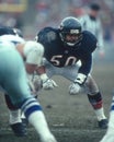 Mike Singletary, Linebacker, Chicago Bears Royalty Free Stock Photo