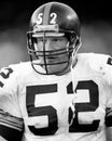 Mike Webster