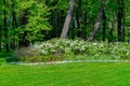 Mikhailovsky Garden in Saint Petersburg, Russia. Royalty Free Stock Photo