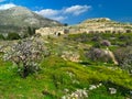 Mikines ancient site and almond tree.