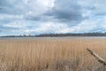 Mikoszewskie Lake near Estuary Vistula River to the Baltic Sea in Poland
