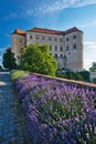 Mikulov castle