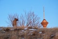 Milad Tower and a dog against blue sky