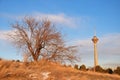 Milad Tower against the sky in golden light of sunset