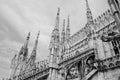 Milan Cathedral close up monochrome Royalty Free Stock Photo